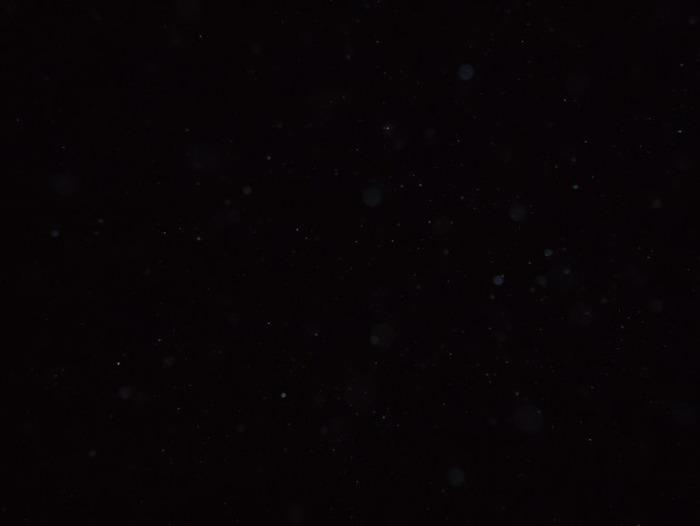 DSC01703
