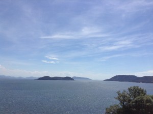 IMG_5947